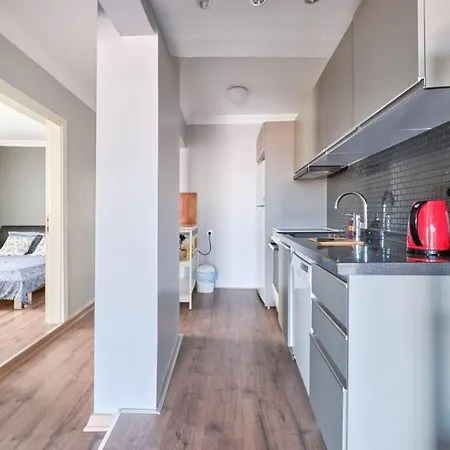 A Flat In The Center With Terrace